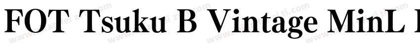 FOT Tsuku B Vintage MinL Pro字体转换